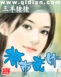 女总裁的王牌高手叶萧张雪瑶 小说封面