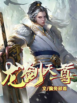 龍劍天尊小說封面