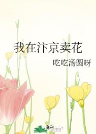 我在汴京賣花小说封面