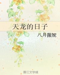 天龍的日子小說封面