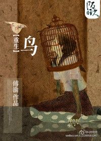 重生之鳥小说封面
