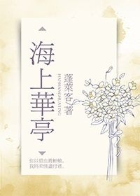海上华亭小说封面