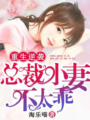 重生縂裁小嬌妻小說封面