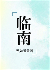 臨南小說封面